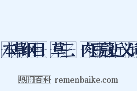 本草纲目．草三．肉豆蔻近义词是什么意思的图片